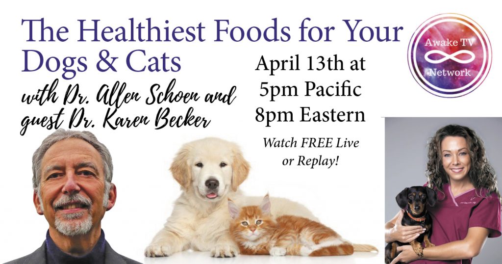 What are the Best Pet Foods with Dr. Karen Becker Dr. Allen Schoen